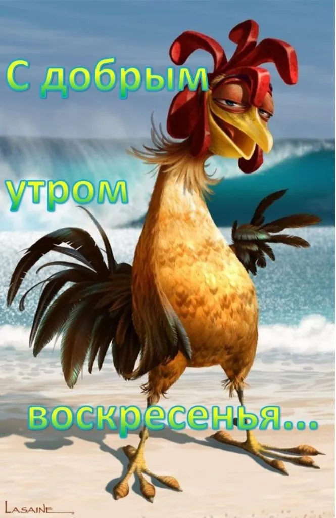 Доброе утро