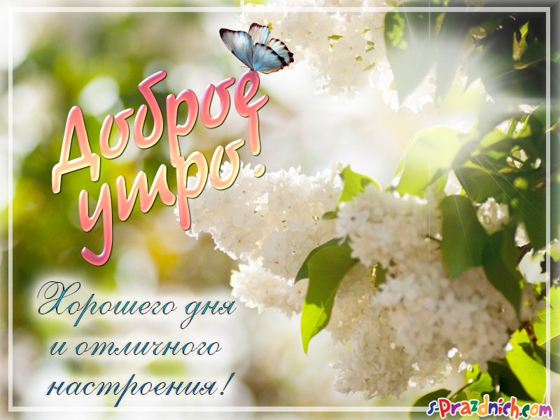 Доброе утро! 🌸 Счастливой вам Весны