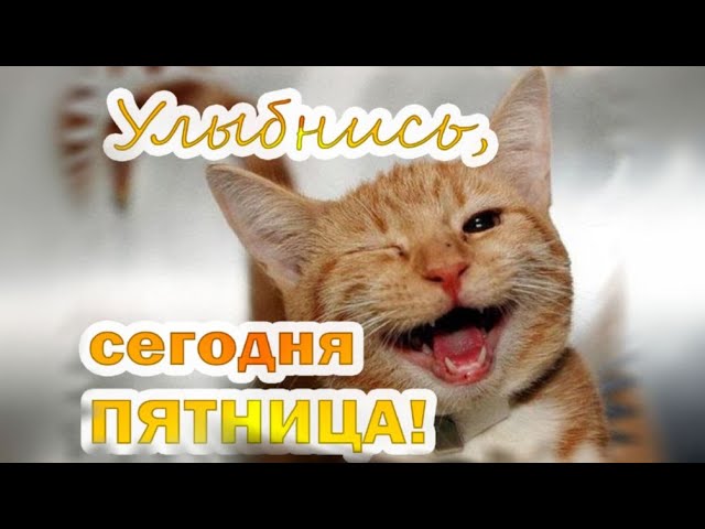 Видеооткрытка С пятницей! Ура пятница