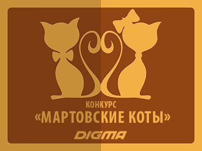 8 мартовских кошек, которые ищут дом