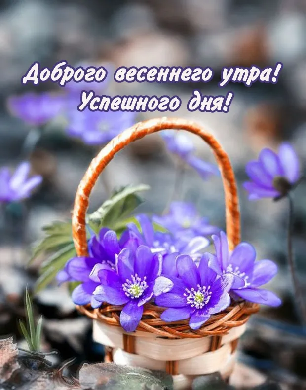 Доброе утро! 🌸 Счастливой вам Весны