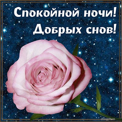 Доброй ночи #Пожелания сладких снов