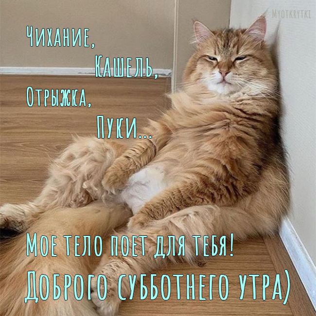 Счастливая суббота