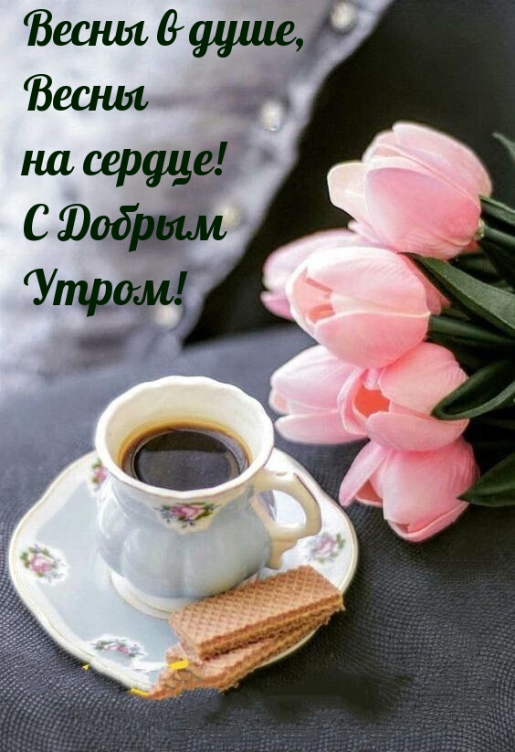 Доброе утро! 🌸 Счастливой вам Весны! 🌺 С Добрым весенним