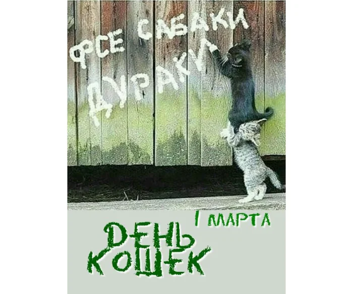 Подарок мужчине или женщине, сувенир прикол просто так, новая