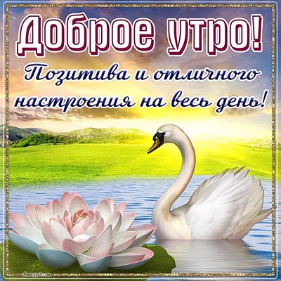 ДОБРОЕ УТРО