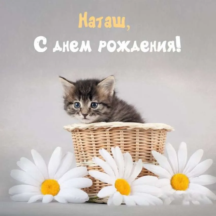 Картинки С Днем Рождения Натусик