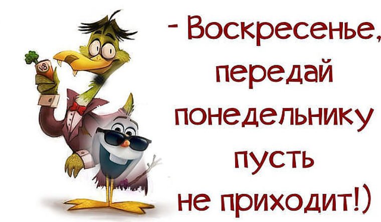 Доброе утро воскресенье картинки прикольные смешные гифки