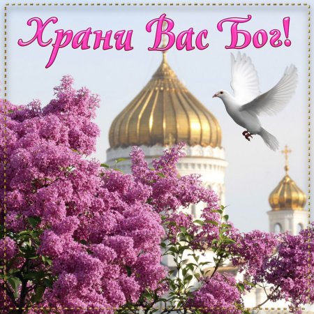 🕊💐☀Храни вас Бог, от бед и от несчастий