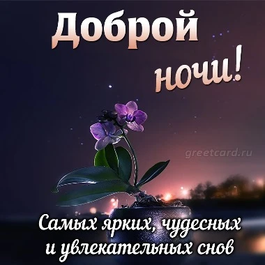 Спокойной ночи!/Доброй ночи!/Пожелание красивых снов. Видео