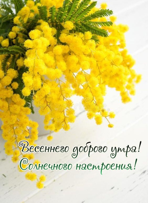 Доброе утро! 🌸 Счастливой вам Весны! 🌺 С Добрым весенним