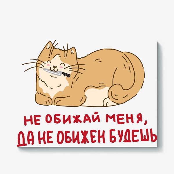 Смешные коты | Прикол.ру