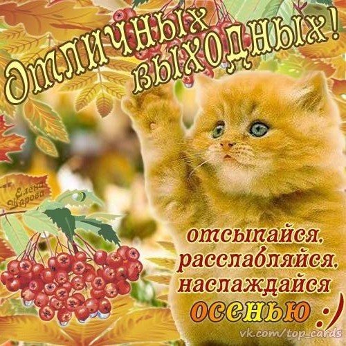 Отличных Выходных Картинки