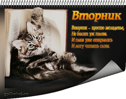 Доброе утро Вторника: прикольные картинки с надписями