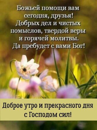 🍃🌞 ДОБРОЕ УТРО, ДРУЗЬЯ! 🌞🍃 «Доброе утро» — август нам