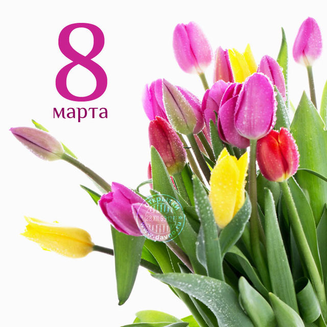 💗 Открытка на 8 марта Тюльпаны