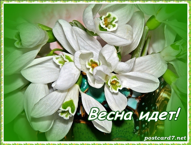 Весна идет, весне