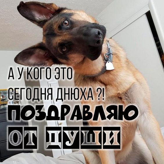 Прикольные открытки 