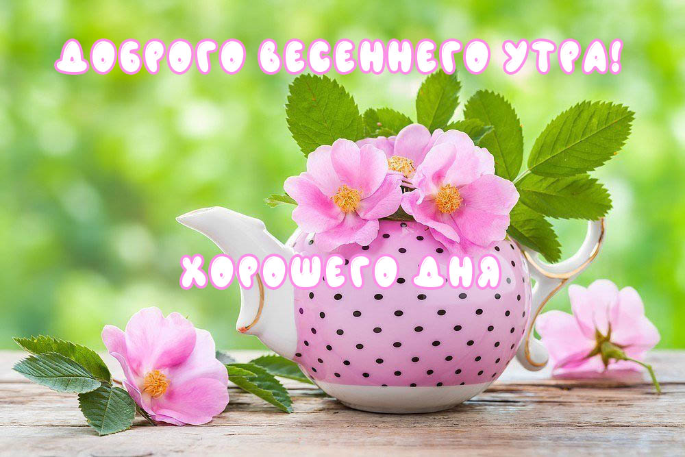 Доброе утро! 🌸 Счастливой вам Весны! 🌺 С Добрым весенним