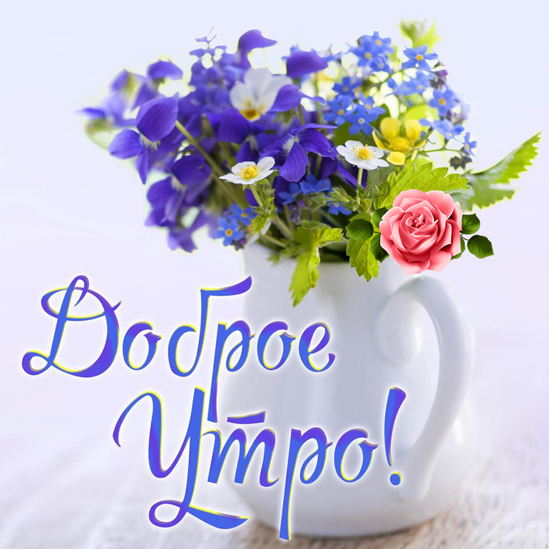 Доброе весеннее утро