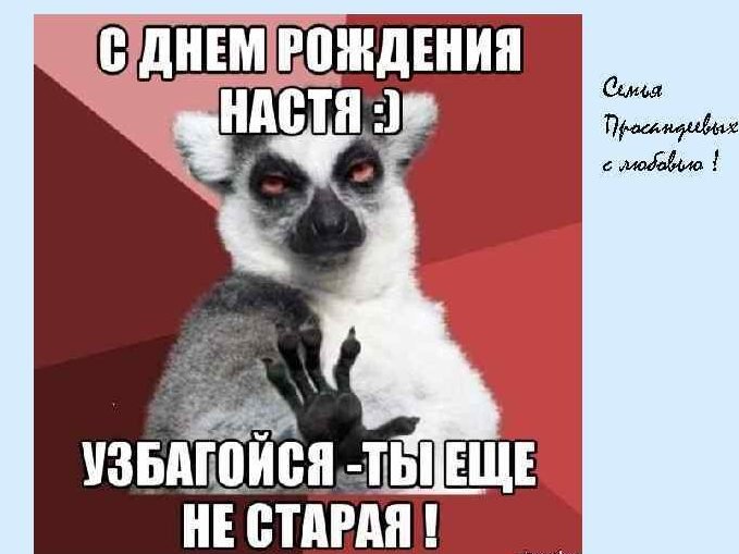 Зайка Zoobe Поздравления С ДНЕМ