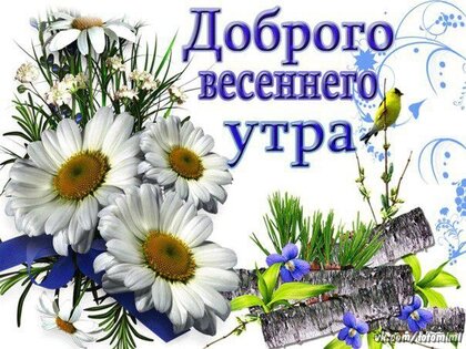 Доброе утро Картинки и красивые Открытки с добрым утром ☀️