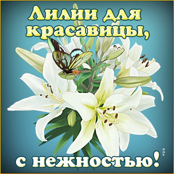 Открытки с лилиями красивые 