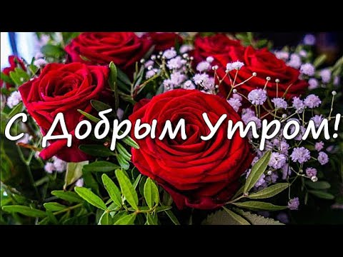 Доброе сентябрьское утро 