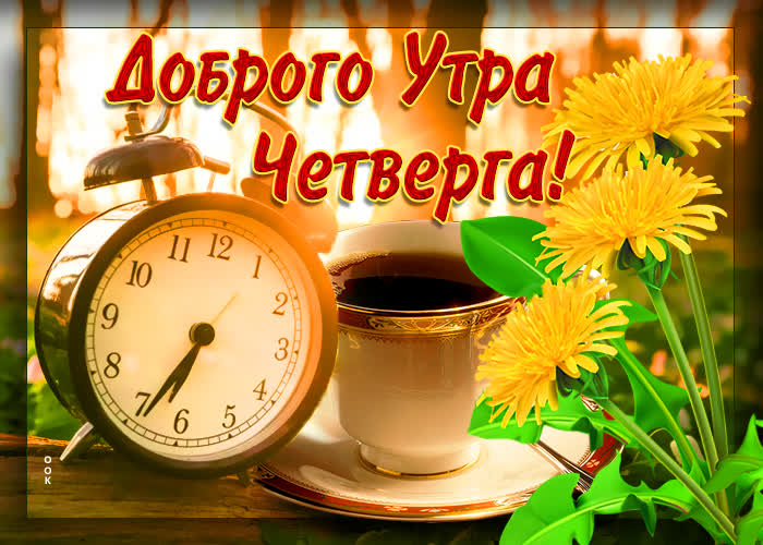 🌺☕️ С Добрым Утром Четверга! Позитивчик