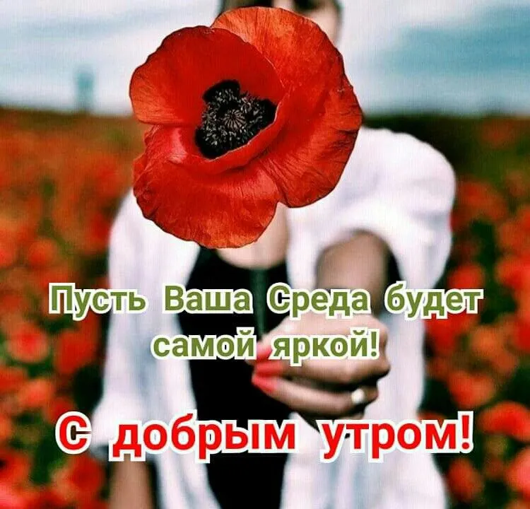 Позитивные картинки Доброе утро 😄 👇