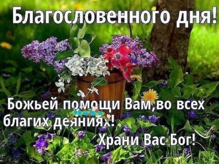 Открытка Доброго вам дня! Мир вам и дому вашему! Храни вас Бог!