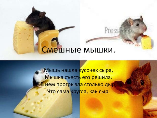 Прикол 