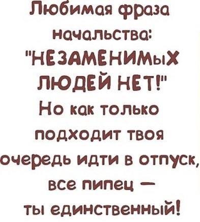 Если работа, то любимая. | Работа юмор, Позитивные цитаты