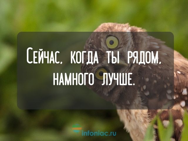 Как спросить «Как дела?» на английском — 7 способов