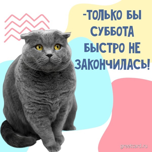 С Добрым Утром Картинки С Котятами | TikTok