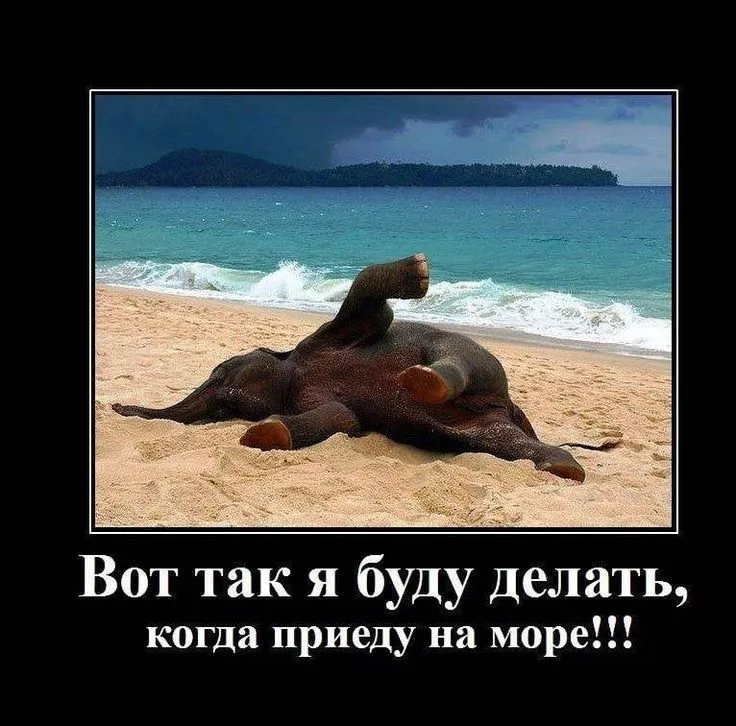 Хочу на море.. на fun