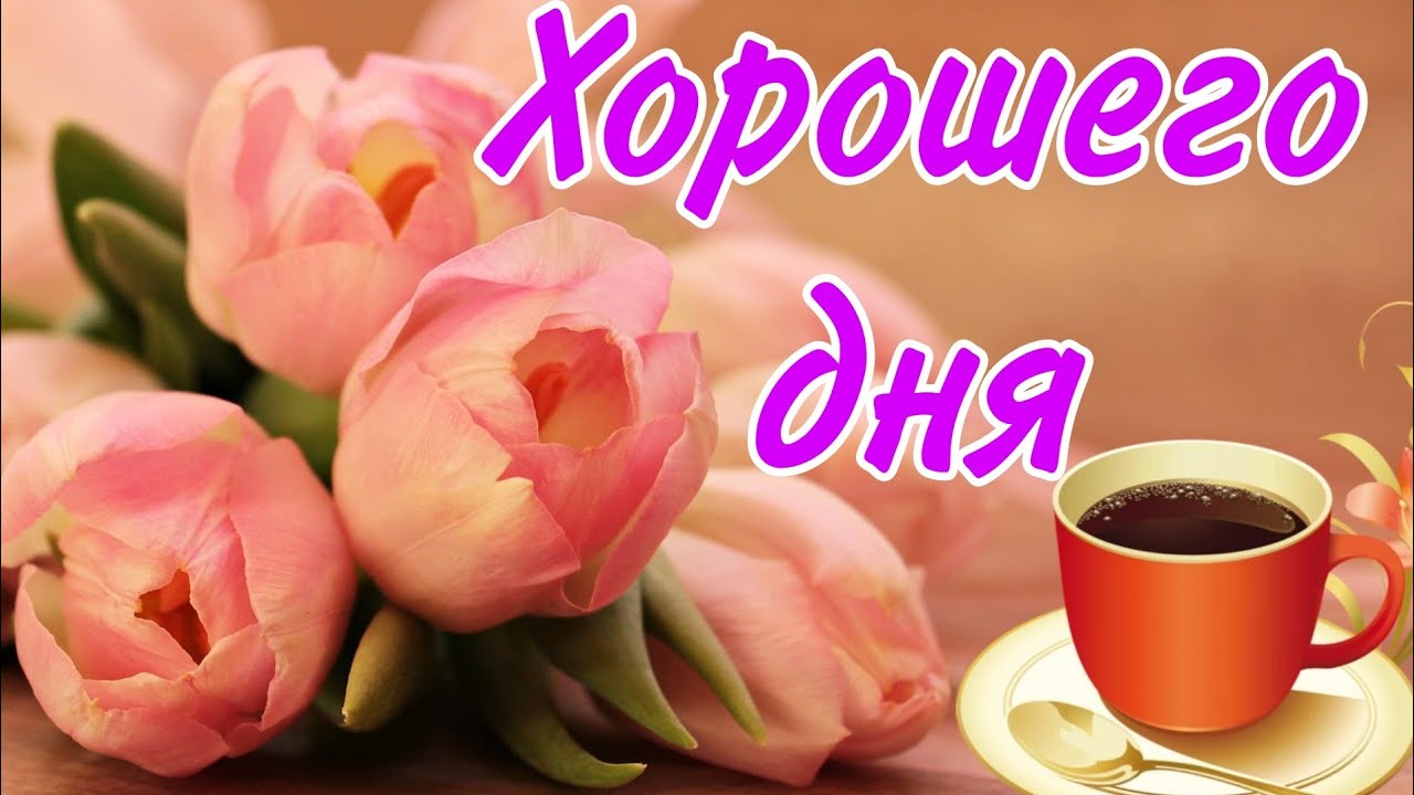 💗☕️Доброе Утро! Хорошего Дня!🌷Для Друзей! Заряд Позитива