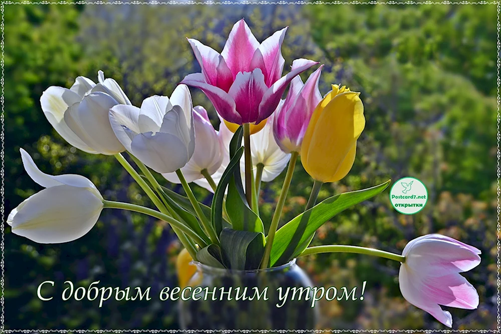 🌸✨☕ Красивые картинки 