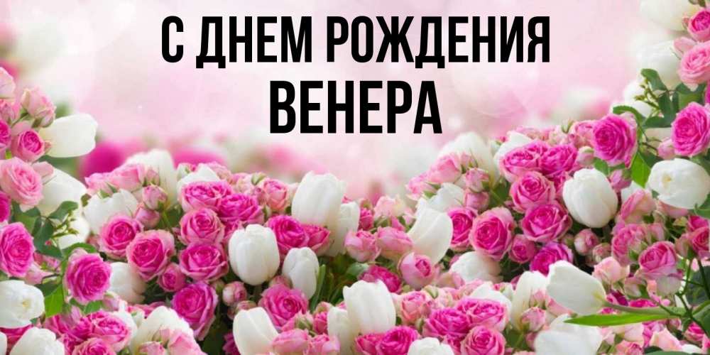 Открытка с днем рождения любимая Венерочка поздравление