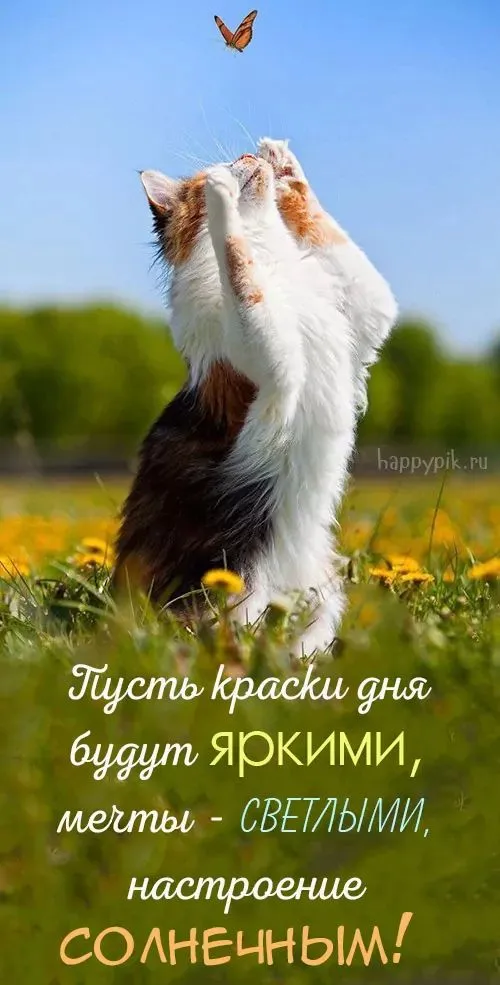 Доброе Утро Gif Картинки | TikTok