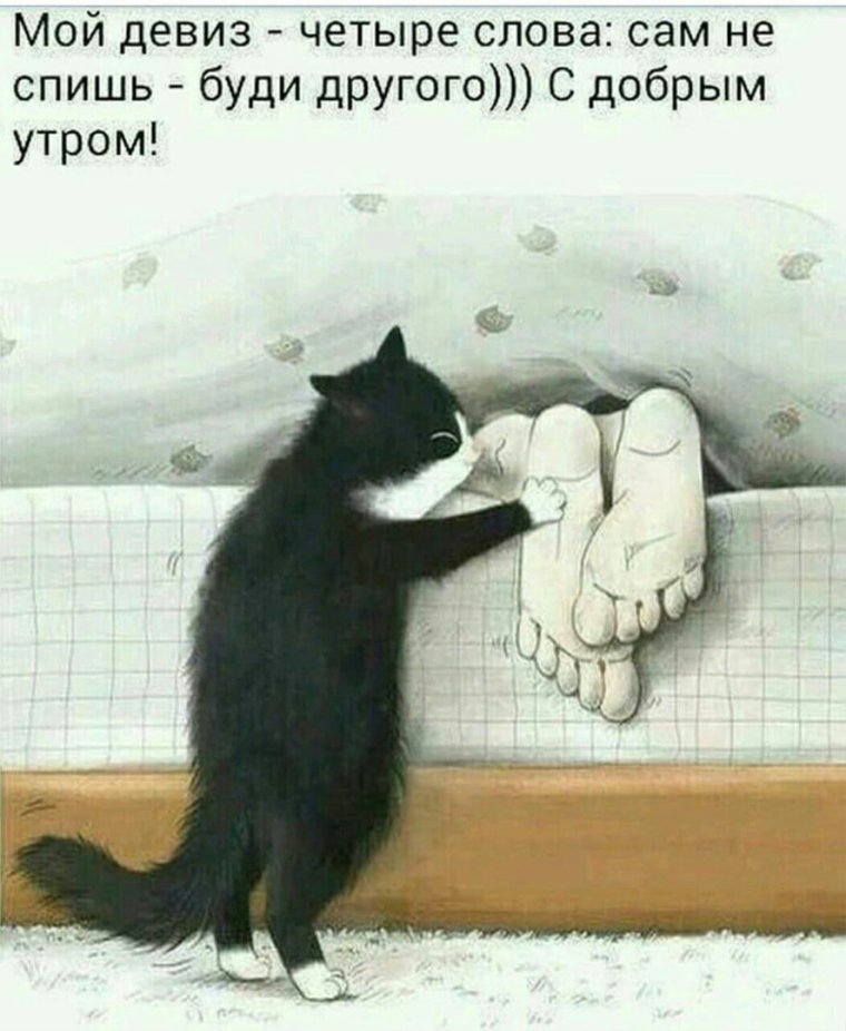 Доброе утро.