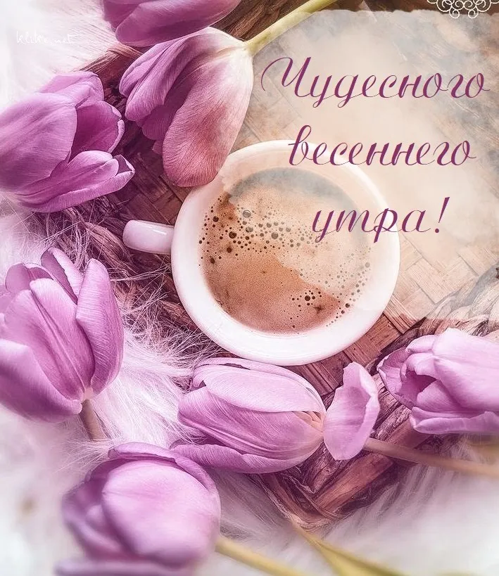 🌸✨☕ Красивые картинки 