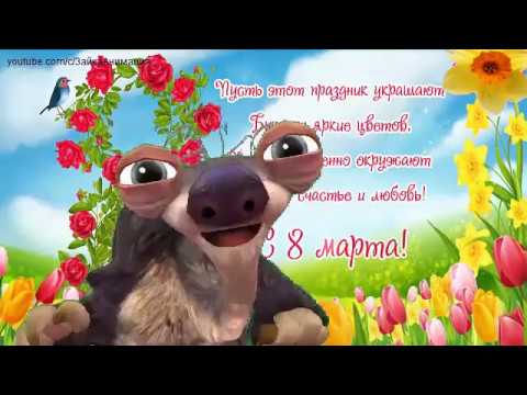 ZOOBE зайка Шуточное поздравление с 8 Марта !