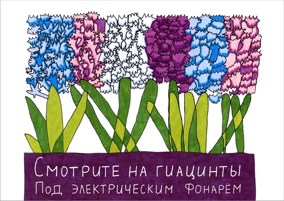 Цветок Гиацинт с каплями воды, фон для