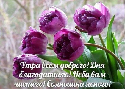 С Добрым Утром! ☕🌹Красивейшие Пожелания Доброго Утра и