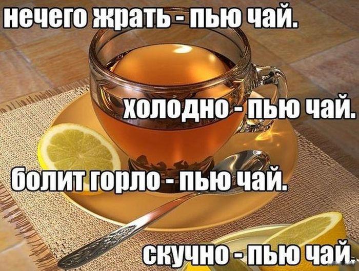 Юмор каждый день