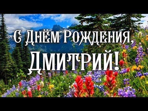 С днем рождения, Дмитрий Анатольевич! — БИПКРО