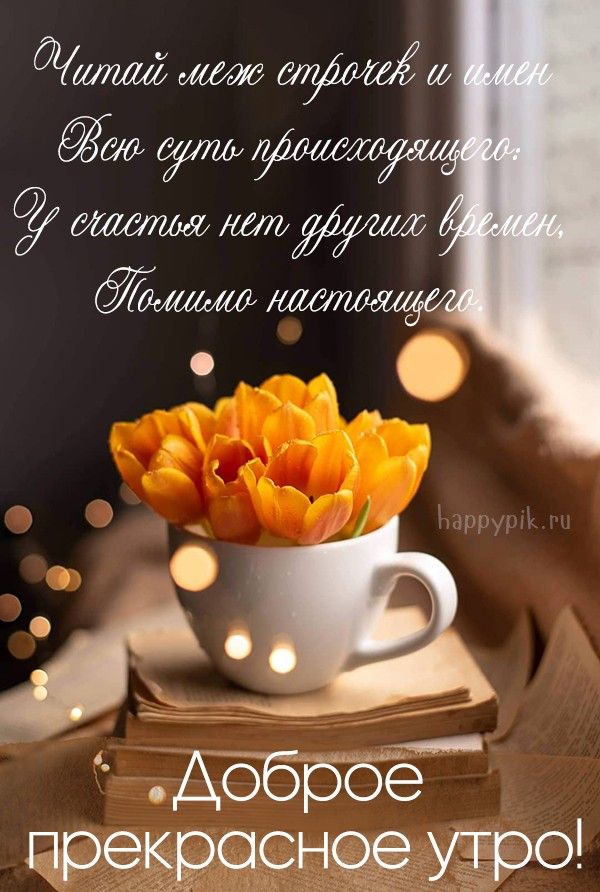 💌☀️😄 Картинки Хорошего дня