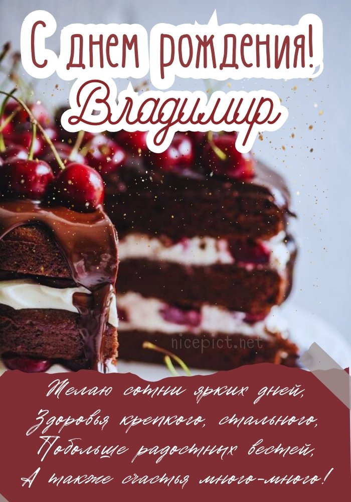 Владимир!С ДНЁМ РОЖДЕНИЯ!