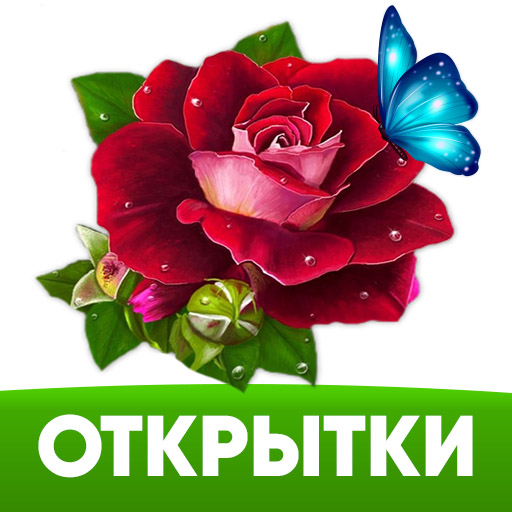 Супер Поздравление С Днем Рождения в Декабре🌹НОВИНКА🌹 Яркая